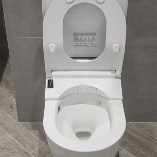 Унитаз подвесной Toto RP с крышкой-биде Washlet RW