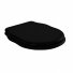 Крышка-сиденье ArtCeram Hermitage HEA005 03 микролифт цвет черный/ петли бронза