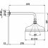 Верхний душ Cisal Shower DS0134012 бронза