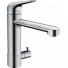 Смеситель для кухни Hansgrohe Focus M42 71813000