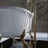 Ванна на лапах Tiffany World TW176 фурнитура бронза